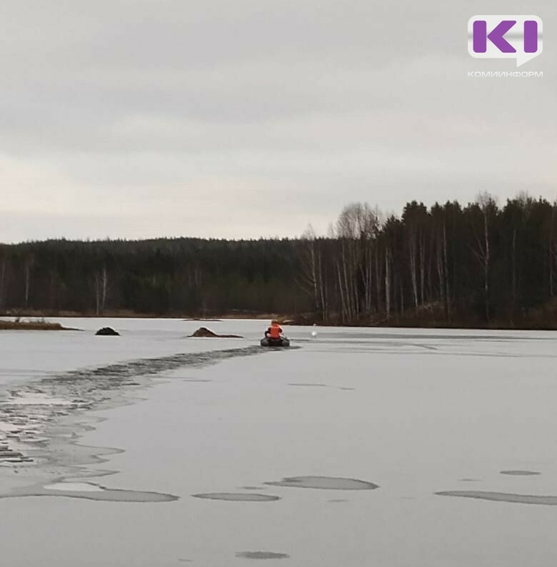 В Сосногорске местных жителей встревожил одинокий лебедь в замерзшем озере