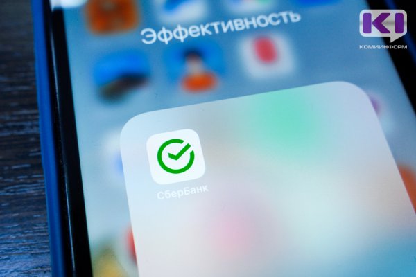Более 20 млрд рублей потратили жители Северо-Запада на онлайн-покупки через платёжный сервис SberPay с начала года