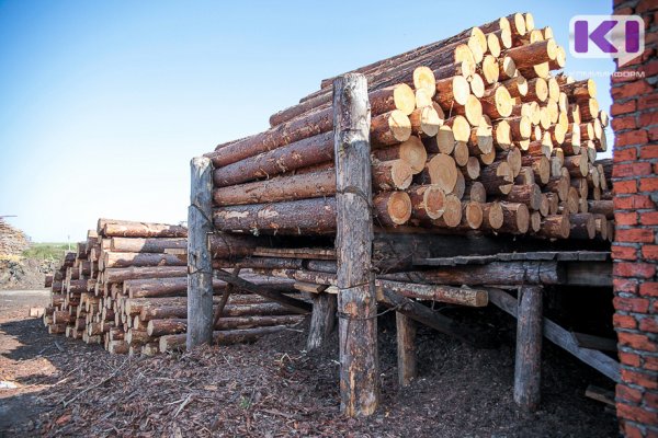 В Коми экспортеров древесины на год освободят от имущественного налога