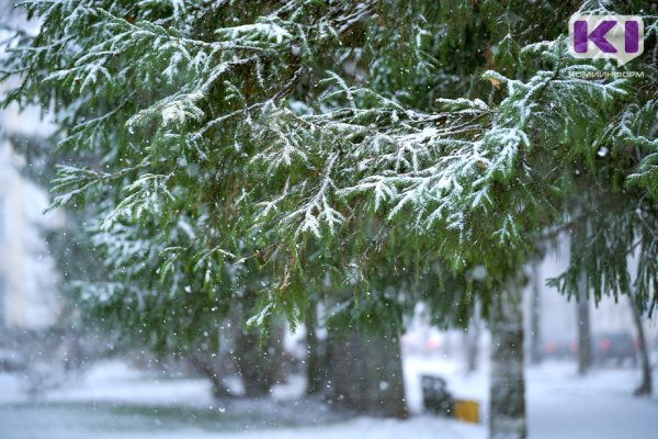 Погода в Коми 19 ноября: на севере снег, на юге без осадков