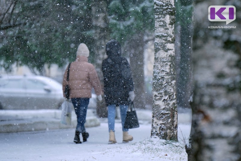 Погода в Коми 20 ноября: небольшой снег, порывистый ветер до 14 м/с, -3...-11°С