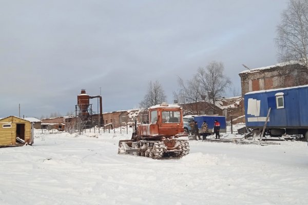 В Сосногорске строят приют для бездомных собак