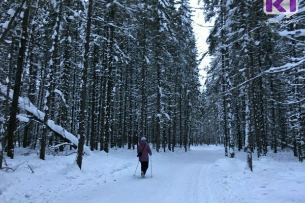 В Сыктывкаре задерживается начало лыжного сезона