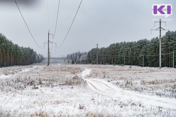 Погода в Коми 2 декабря: южный ветер и снег
