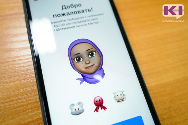 Девушка из Дагестана под предлогом продажи iPhone 14 похитила у жителя Усинска 45 тысяч рублей