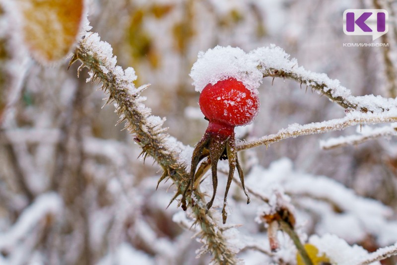 Погода в Коми на 14 декабря: морозы на севере ослабят хватку