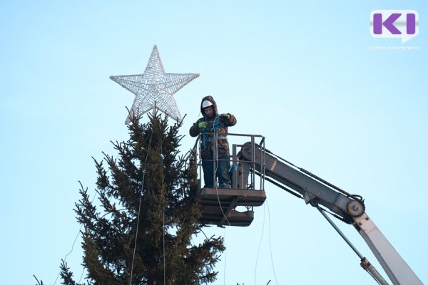 В сыктывкарском Давпоне определили новое место для новогодней ели