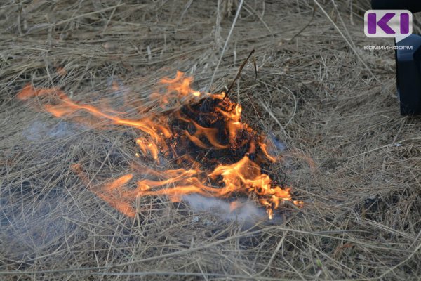 В Усть-Цильме вычислили грибника, который устроил лесной пожар 
