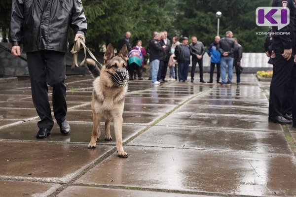 В Коми на памятник псу-герою Сармату собрали 60 тысяч рублей 