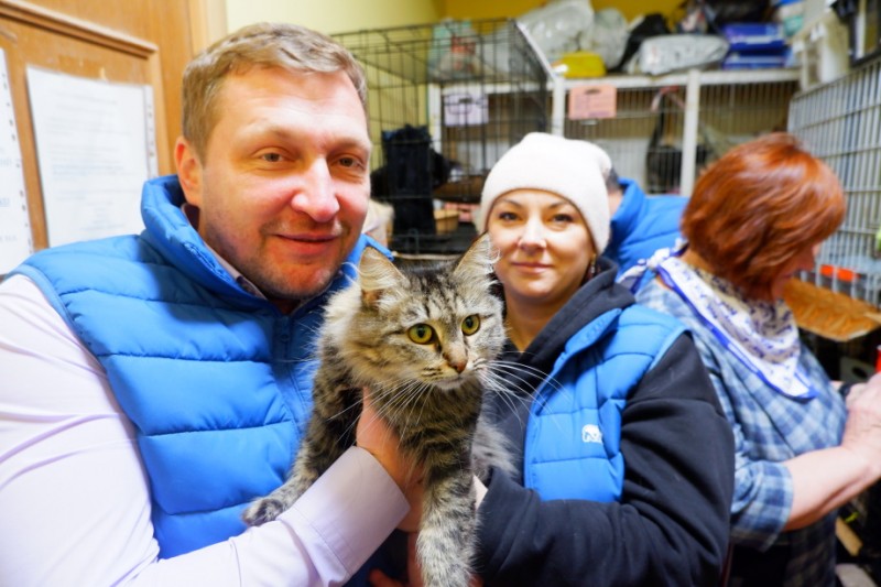 Волонтеры "Единой России" оказали поддержку сыктывкарскому приюту для кошек