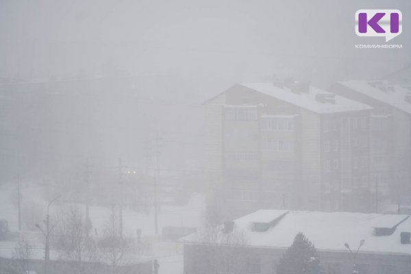 Снег и метель: в Воркуте скорость ветра достигала 18 метров в секунду 