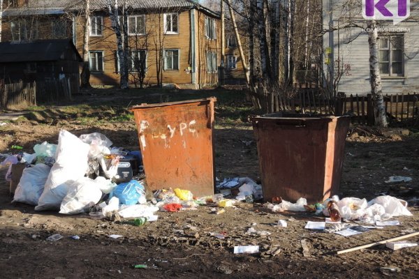 В Ухте уборка контейнерных площадок обойдется в 4,6 млн рублей