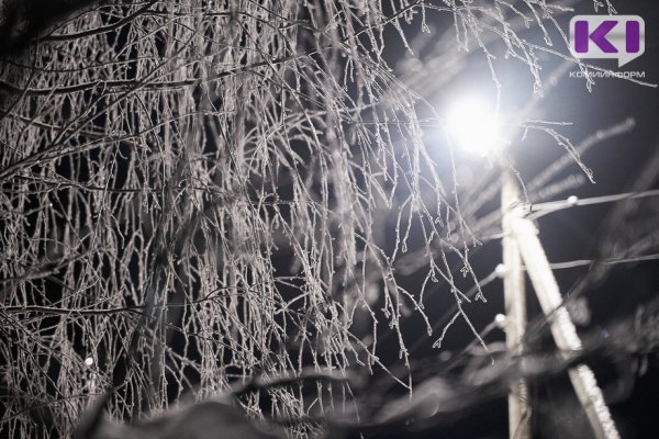 Житель Коми насмерть замерз на остановке в Дырносе 