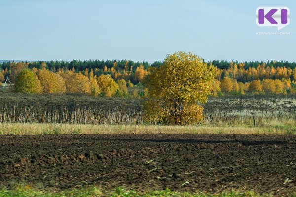 Как получить гектар в Арктической зоне Республики Коми