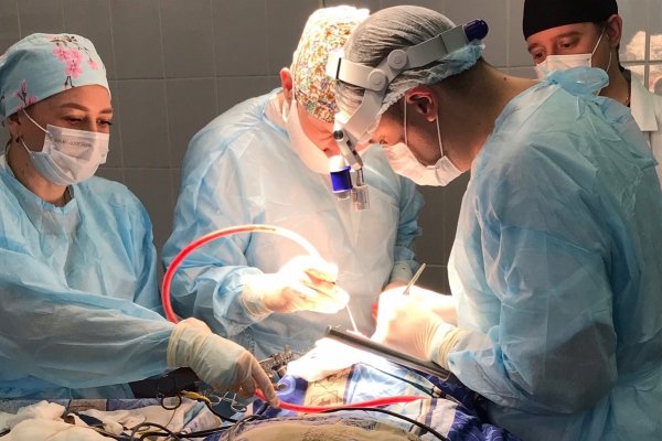 Врачи нейрохирургического отделения Эжвинской больницы осваивают уникальные методы лечения

