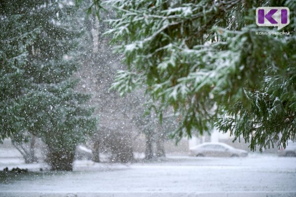 Погода в Коми 10 февраля: мокрый снег, изморозь, -1...-6°С