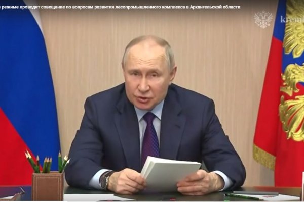 Владимир Путин предложил дополнительные меры поддержки для предприятий лесной отрасли

