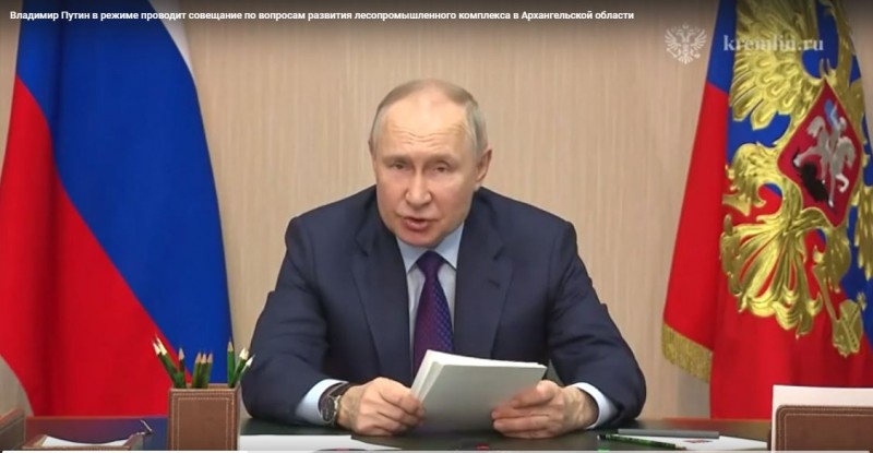 Владимир Путин предложил дополнительные меры поддержки для предприятий лесной отрасли

