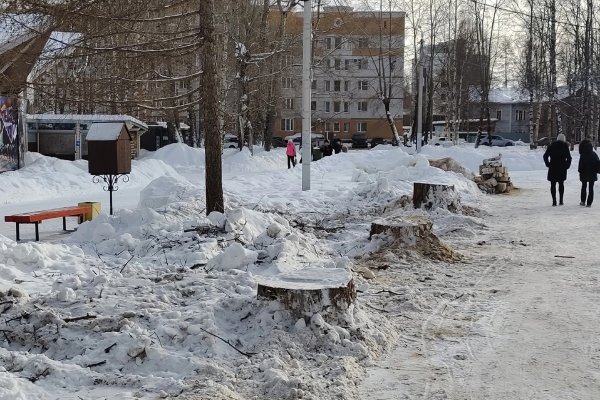 В Кировском парке Сыктывкара вырубили 60-летние тополя