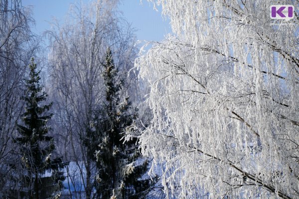 Погода в Коми 23 февраля: небольшой снег, гололед, -7...-12 °С