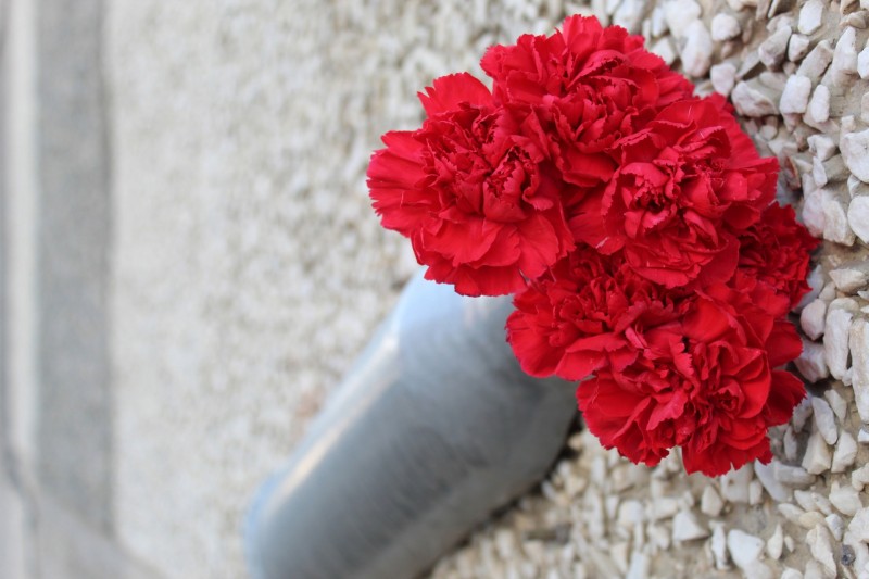 Сотрудники СОБР "Заря" Управления Росгвардии по Коми почтили память погибшего сослуживца

