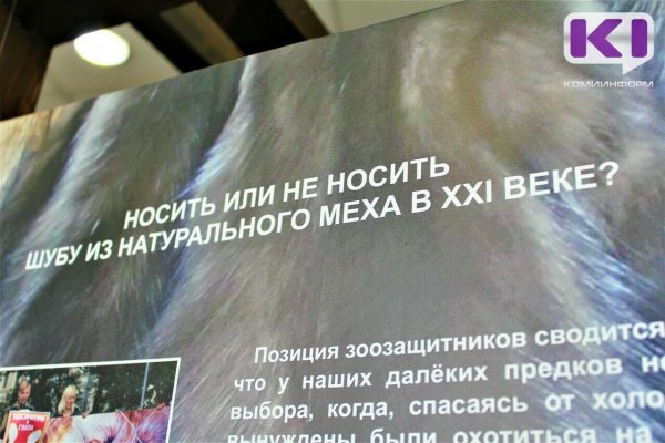Искусственный или натуральный мех: в Сыктывкаре стартовал выставочный проект об экологическом потреблении