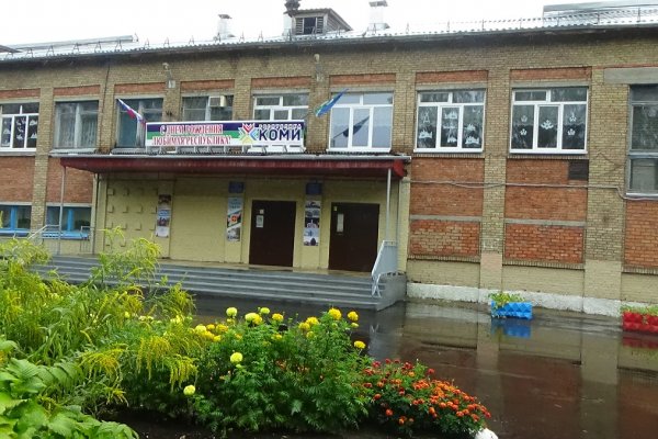 Жители Сыктывкара обеспокоены скоплением крыс возле одной из школ