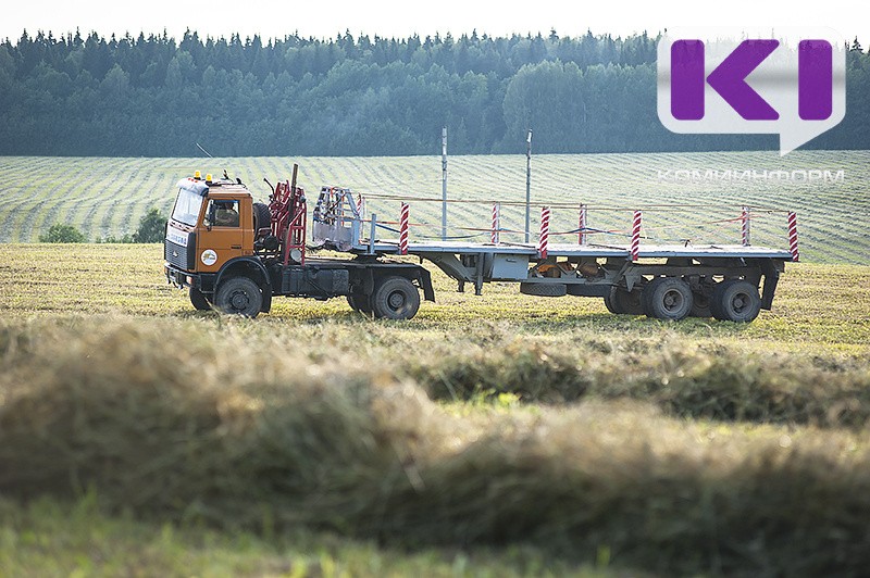 На весенне-полевые работы аграриям Коми выделят 90 млн рублей 