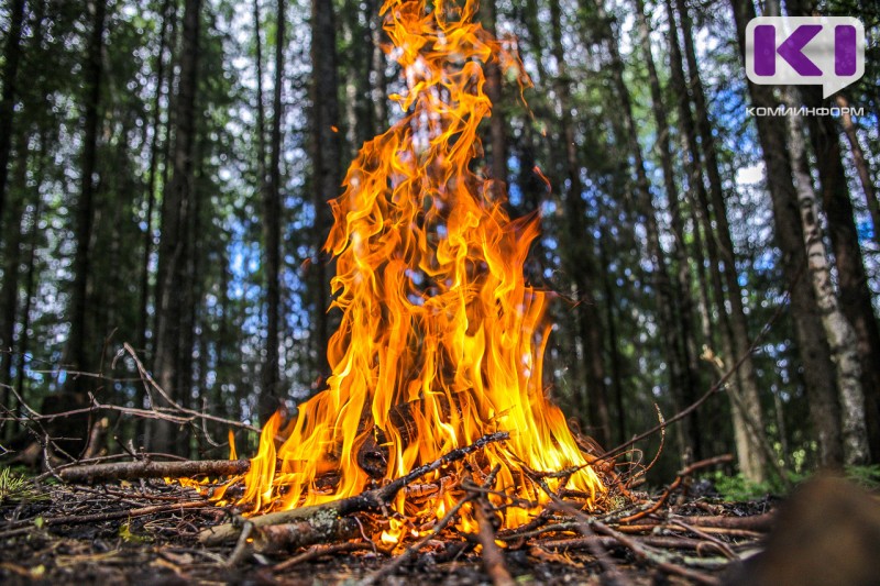 На охрану лесов Коми от пожаров выделено более 478 миллионов рублей 
