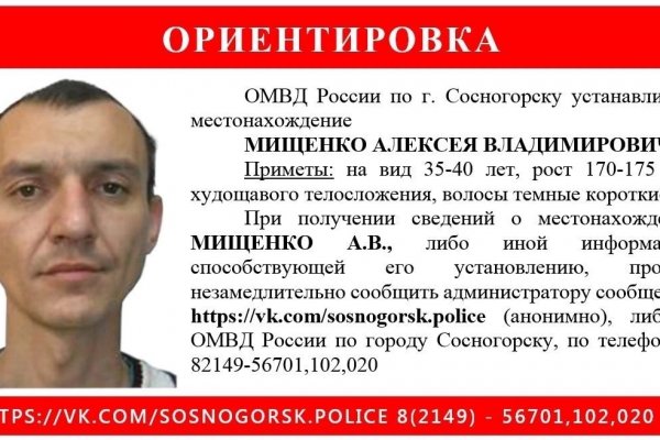 В Сосногорске разыскивают 35-летнего Алексея Мищенко