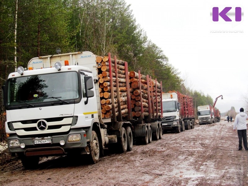 Лесопромышленные предприятия просят ввести мораторий в 2023 году на сезонные ограничения движения лесовозов