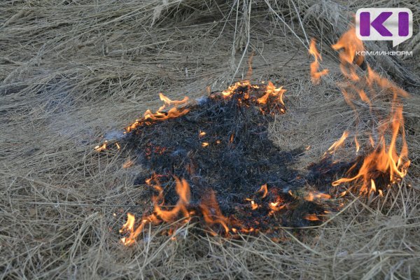 МЧС призывает жителей и гостей Коми не сжигать сухую траву