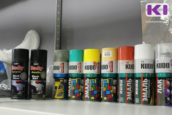 В Сыктывкаре мастер тату-салона обвиняется в неоднократном публичном демонстрировании нацистской символики
