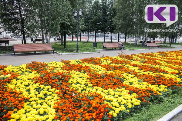 В Сыктывкаре оформление и содержание цветников обойдется в 8,7 млн рублей
