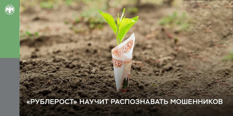 Банк России запустил образовательный проект "Рублерост"
