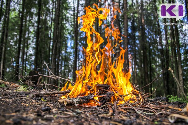 В лесах Коми введен особый противопожарный режим