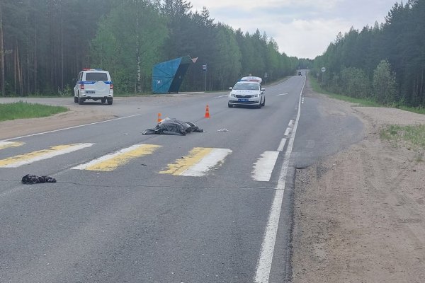 На трассе Сыктывкар-Ухта водитель Renault насмерть сбил пенсионерку 