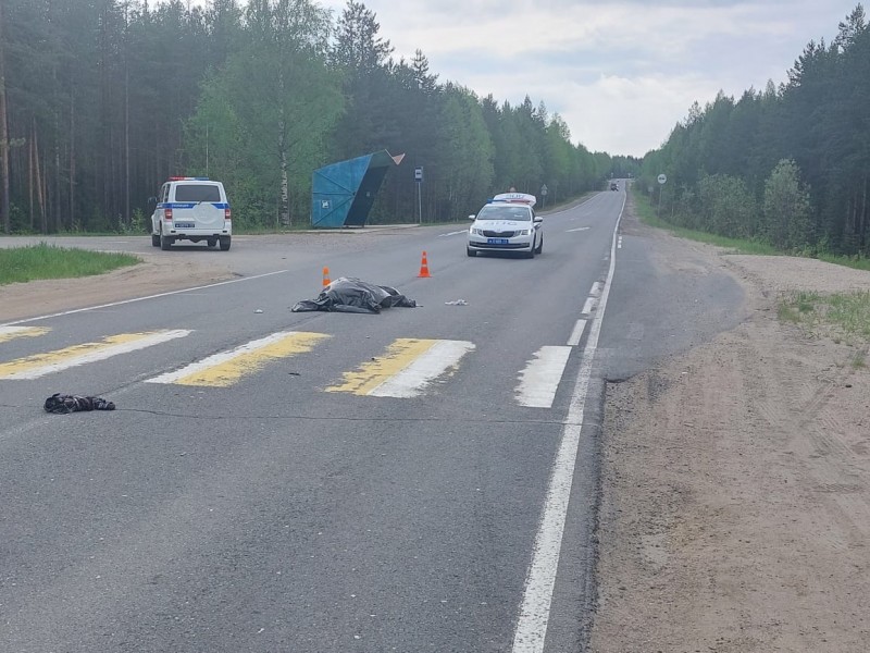 На трассе Сыктывкар-Ухта водитель Renault насмерть сбил пенсионерку 