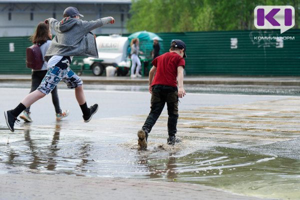 Погода в Коми 28 мая: дожди, местами гроза, +10...+15°С