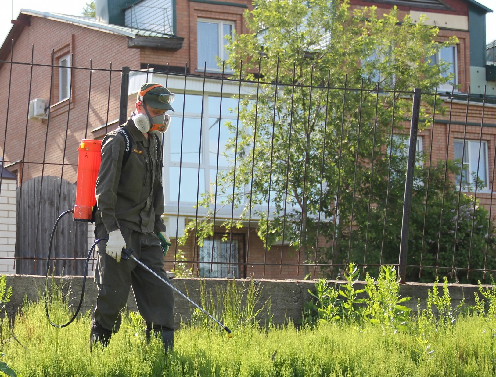 В Сыктывкаре приступили ко второму этапу борьбы с борщевиком | 13.06.2023 |  Сыктывкар - БезФормата