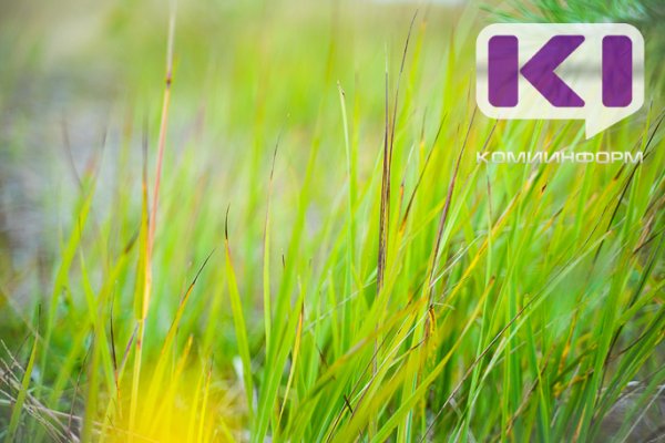 В мае количество обращений в 