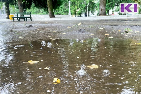 В столице Коми в 2022 году дважды прошли опасные кислотные дожди 