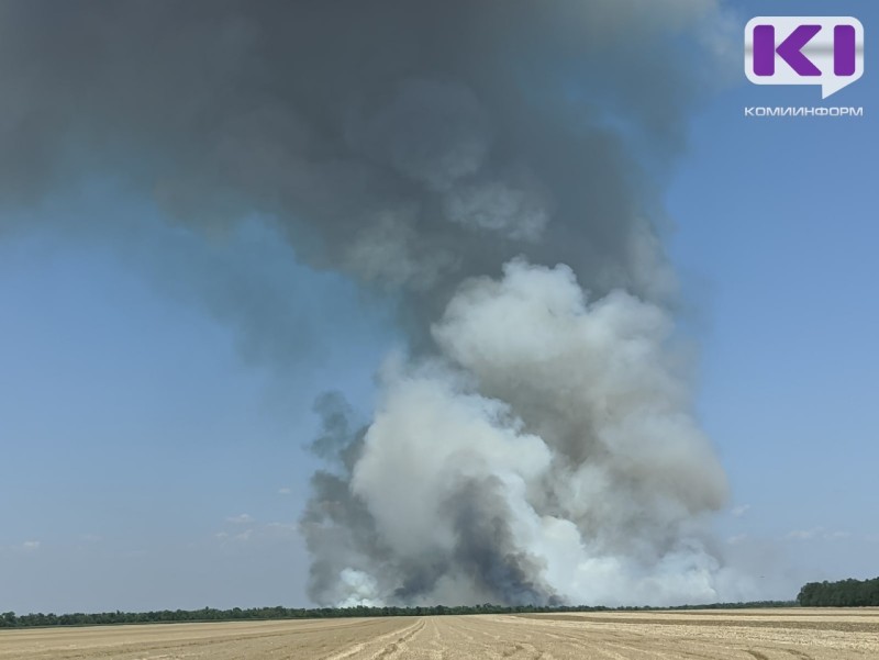 В Корткеросском районе потушили крупный лесной пожар 