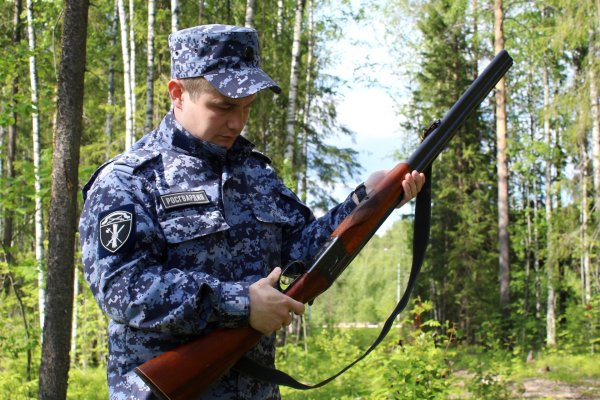 Жительница Усть-Цильмы сдала в Росгвардию оружие и боеприпасы