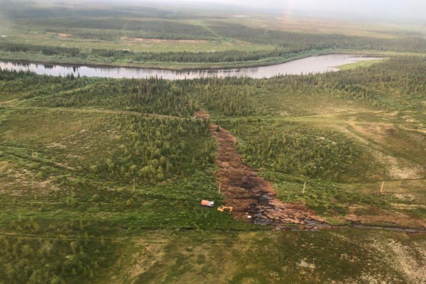 Площадь загрязнения почвы в результате разлива нефти в Усинске составила порядка 4 тыс.кв.м