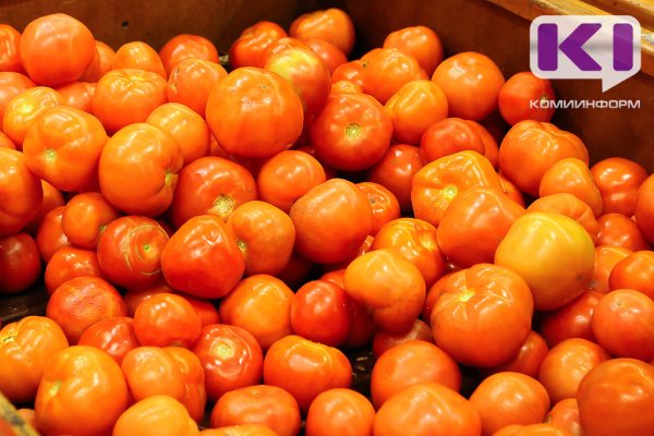 В Сыктывкаре обнаружены томаты, зараженные вирусами