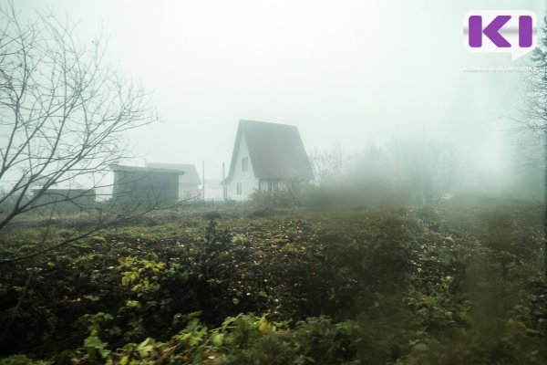 Погода в Коми 14 июля: небольшой дождь и туман