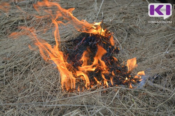 Спустя 20 часов огнеборцам удалось потушить лесной пожар в Койгородском районе