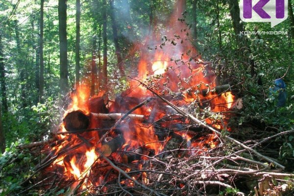 В Корткеросском районе тушат лесной пожар, возникший от гроз 