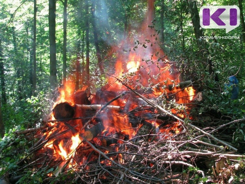 В Корткеросском районе тушат лесной пожар, возникший от гроз 